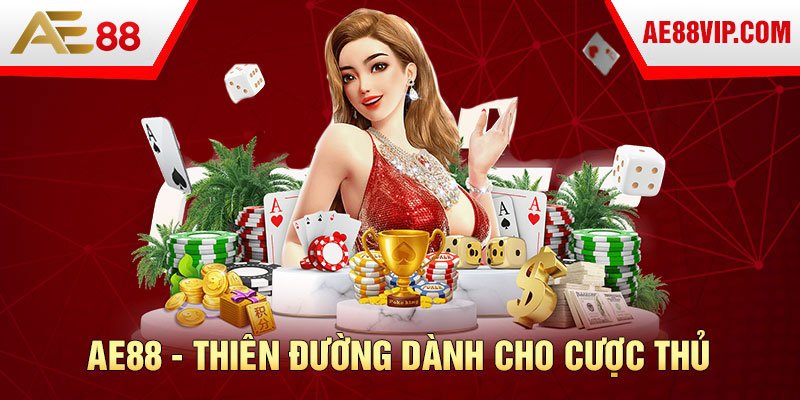 Ok365 có tỷ lệ trả thưởng cao, và những lần đặt cược thắng có thể mang lại lợi nhuận đáng kể - Ok365