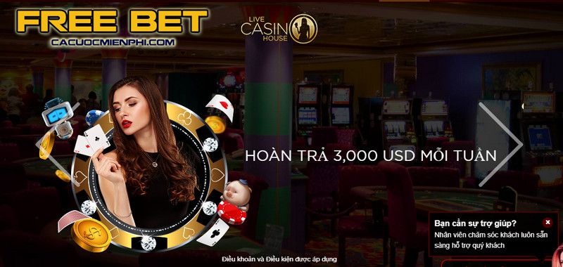 Bigbet88 có thực sự là một trang web game uy tín như những gì họ tuyên bố không? - Bigbet88