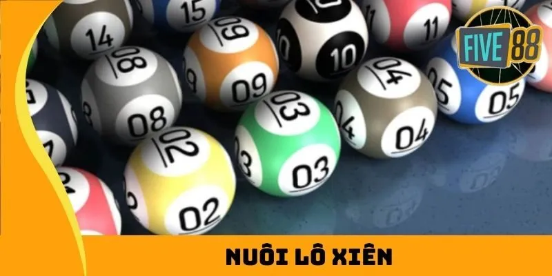 Trang web Kimsa88 Kimsa88 - Kimsa88