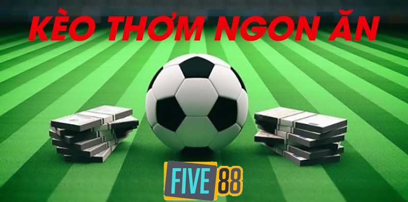 Cá cược hạng Kc88 bao gồm những gì? - Kc88