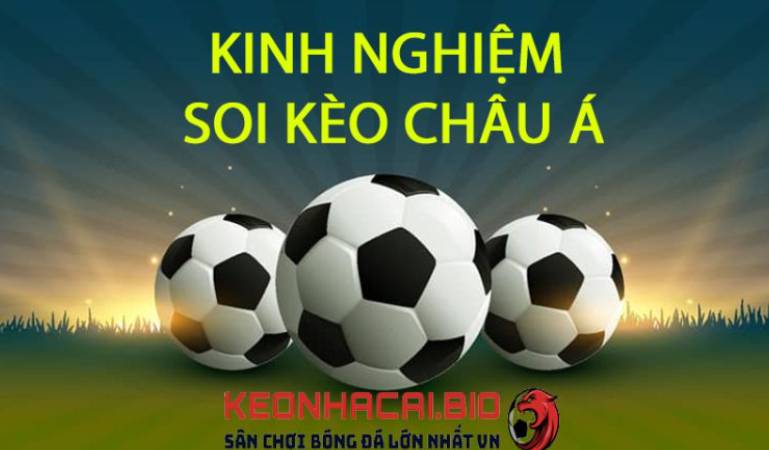 Lịch sử và sự phát triển của Hr99 - Hr99