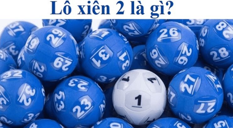 Tôi có thể tham gia các hoạt động quảng bá của Ho88 bằng cách nào? - Ho88