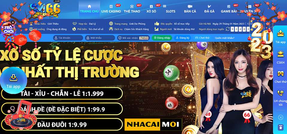 Dưới đây là một số thông tin thú vị về 95Vn - 95Vn