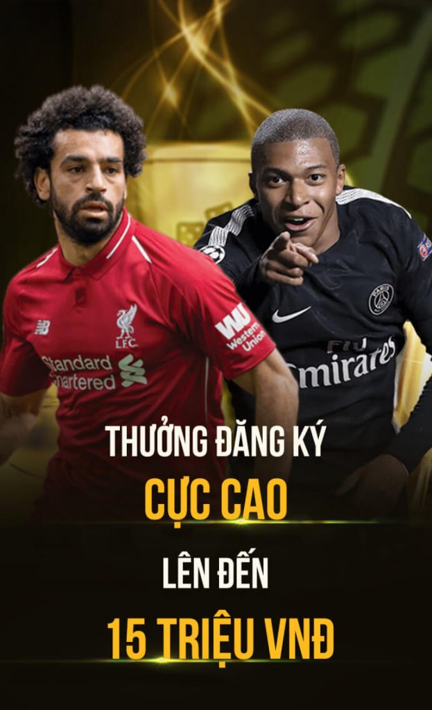 Liên quan đến giao diện Xin88 - Xin88