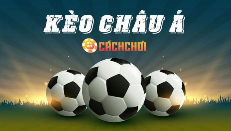Tôi cần làm gì để được hưởng các quyền lợi khi đăng ký Max88? - Max88