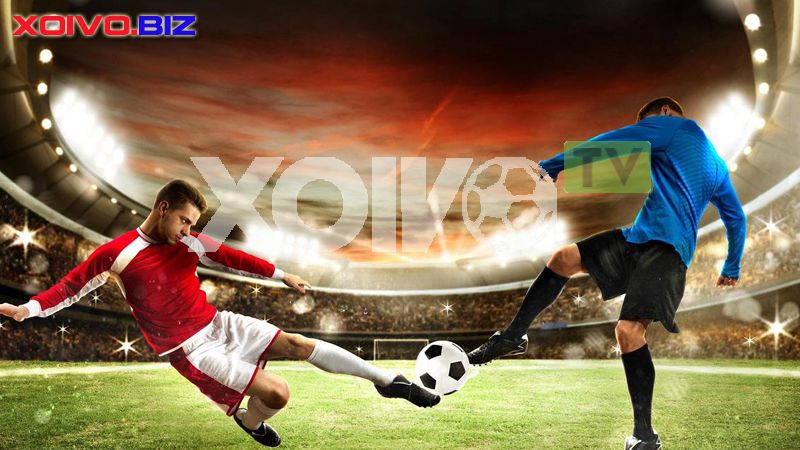 Tận hưởng trải nghiệm cá cược và chơi game đẳng cấp Vf555 trên một nền tảng tuyệt vời - Vf555