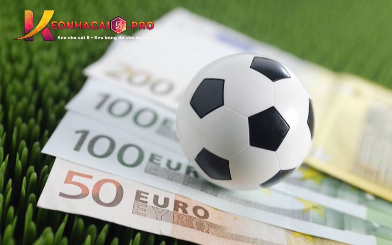 Quá trình đăng ký 88Vv rất nhanh chóng và dễ dàng - 88Vv