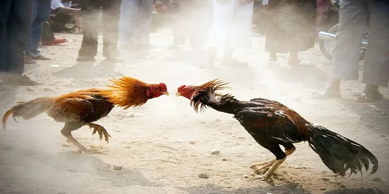 Hướng dẫn nạp và rút tiền trực tuyến 98Win - 98Win