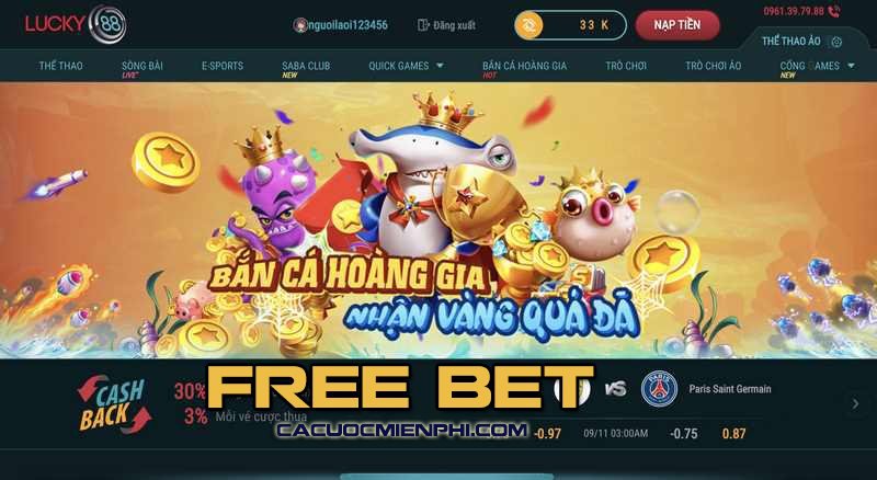 Hubet cần đáp ứng những điều kiện gì để cấp 88000 đô la tiền cược miễn phí? - Hubet